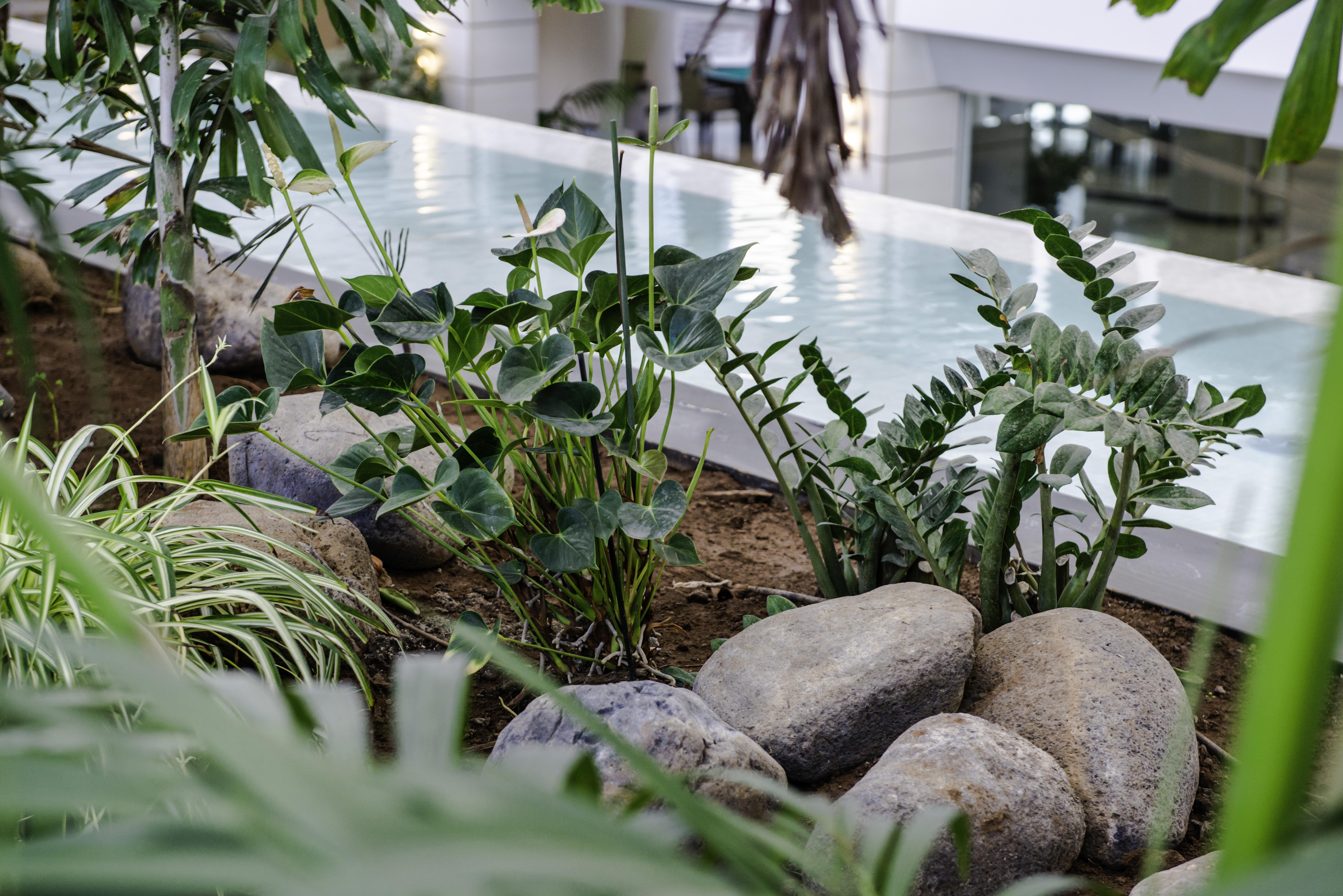 Spring Vulcano Hotel 4*