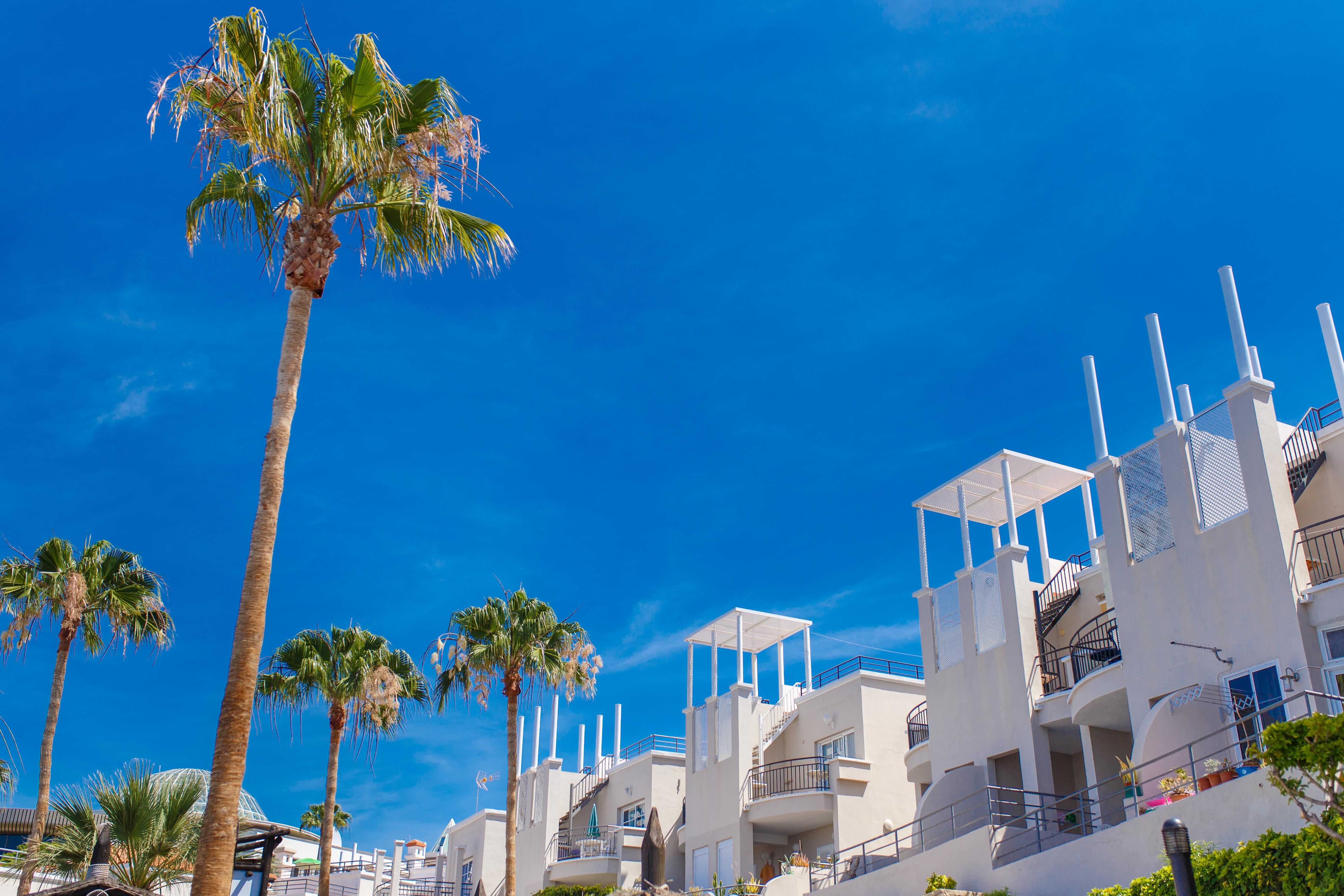 Hotel Olivos 3*