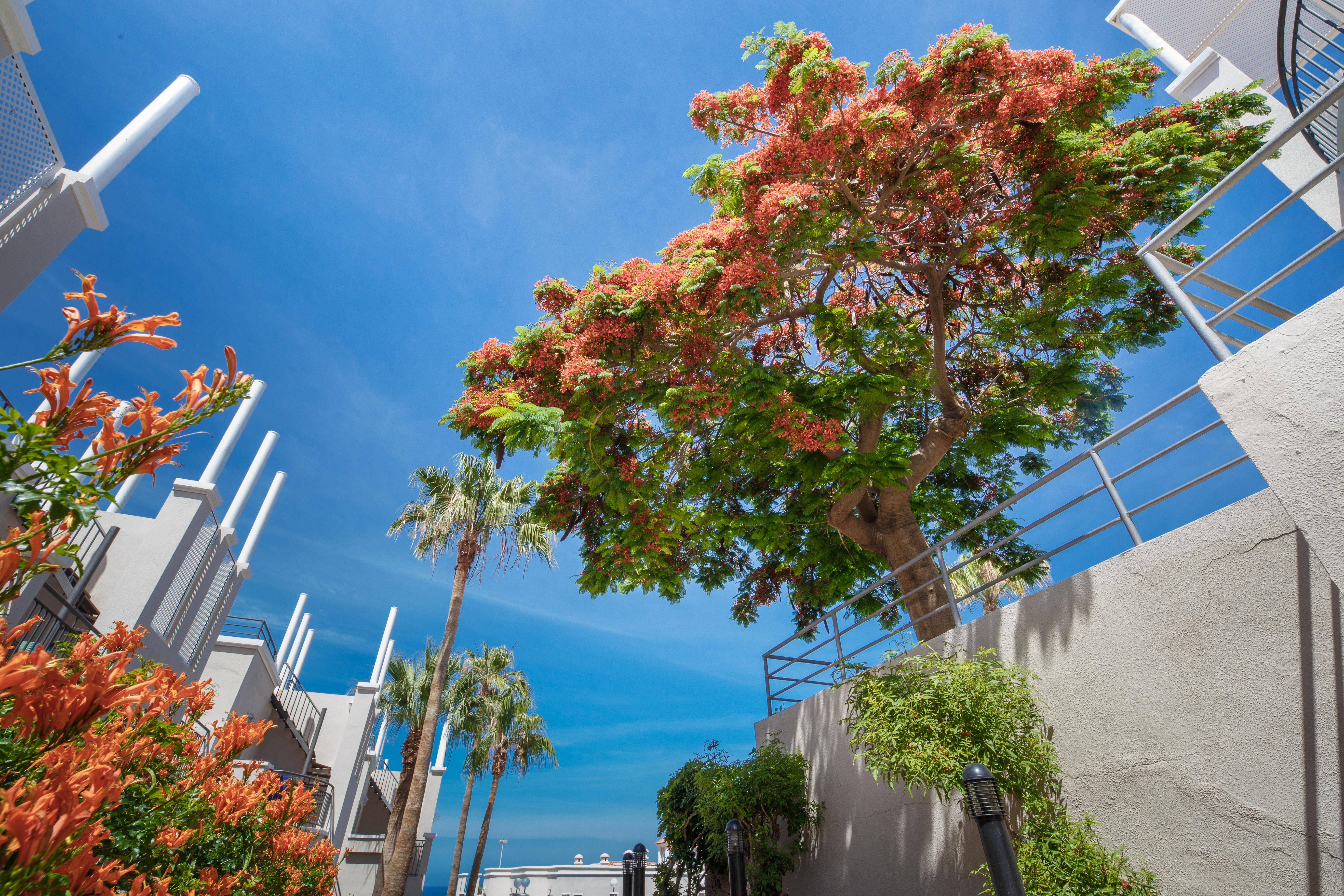 Olivos Hotel