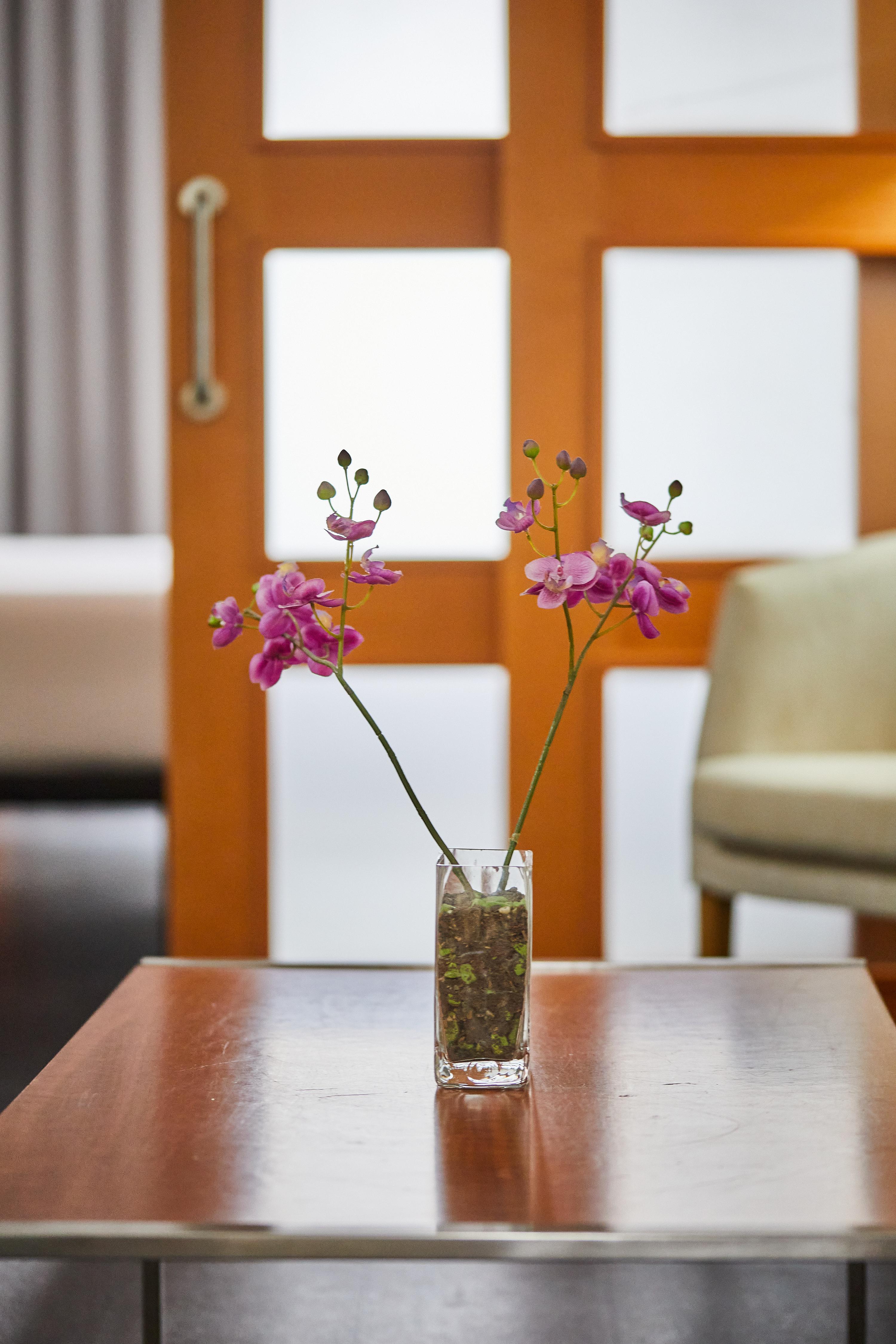 Hotel Silken Atlantida Cruz Santa Cruz de Tenerife