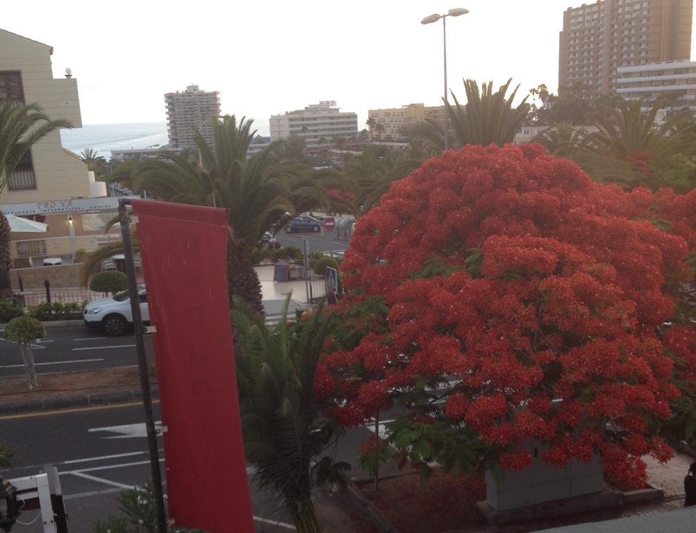 Penthouse El Mirador Cristianos Tenerife - Vv Los Cristianos (Tenerife)