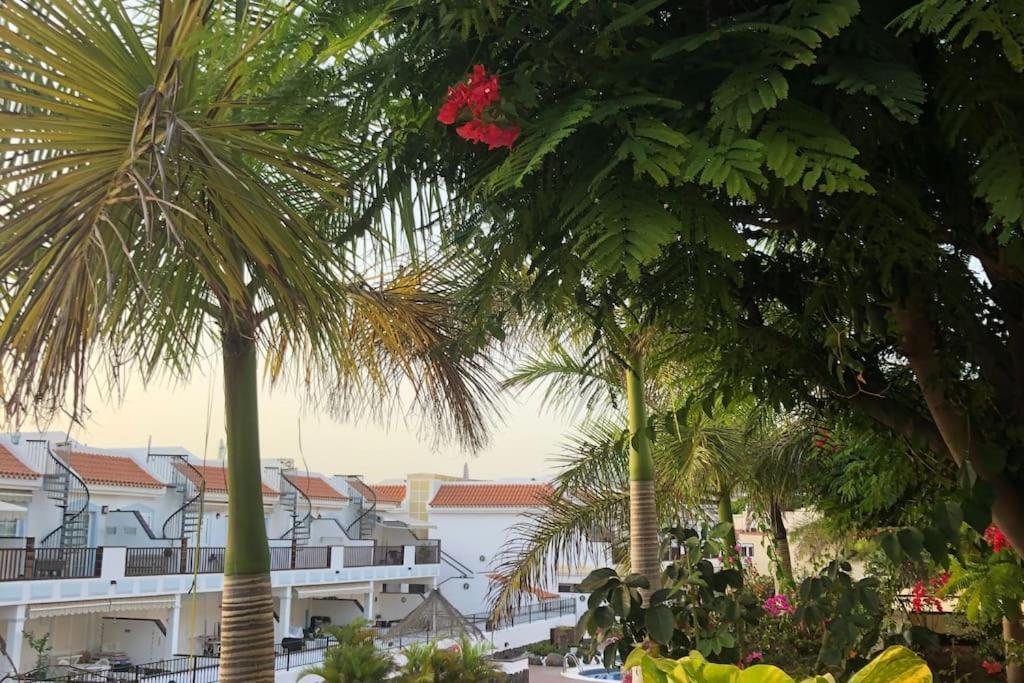 Beautiful In Los Cristianos, Arona *