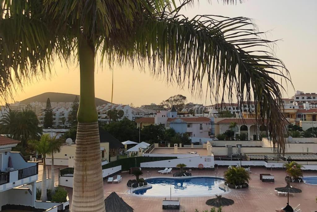 Beautiful In Los Cristianos, Arona Los Cristianos (Tenerife)