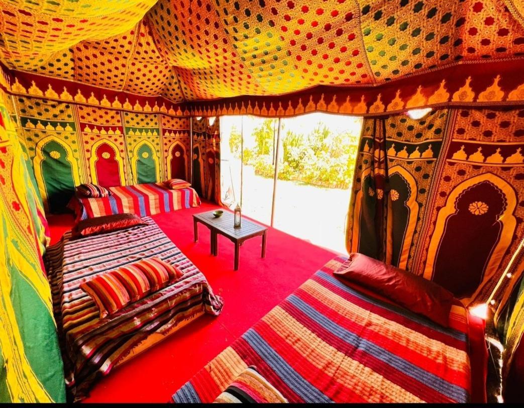 Kalfajar * Radazul