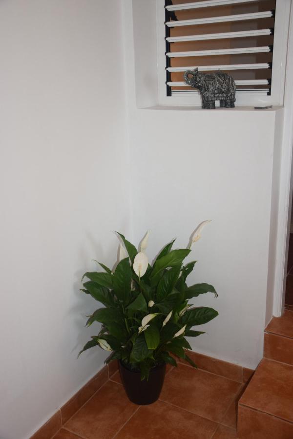 Apartment Garoe Acogedor Araya (Tenerife)