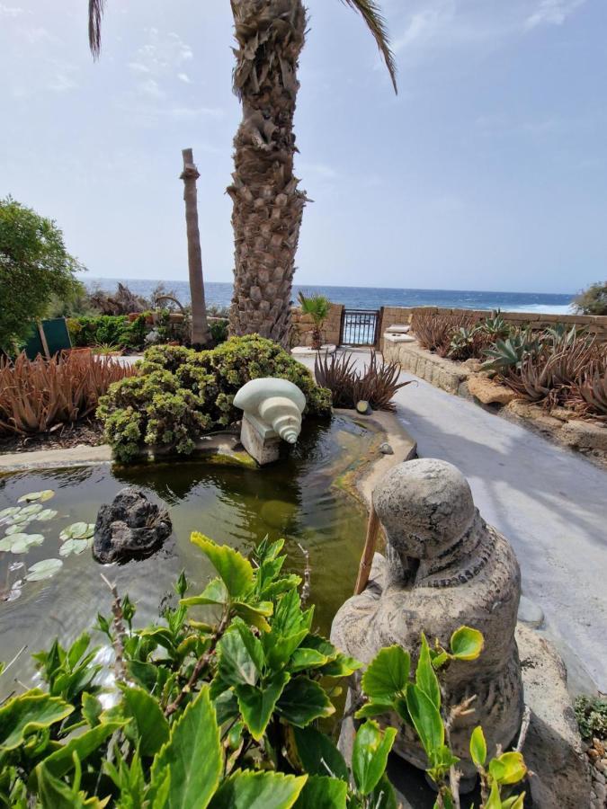 Apartment Little Paradise In El Medano Granadilla De Abona
