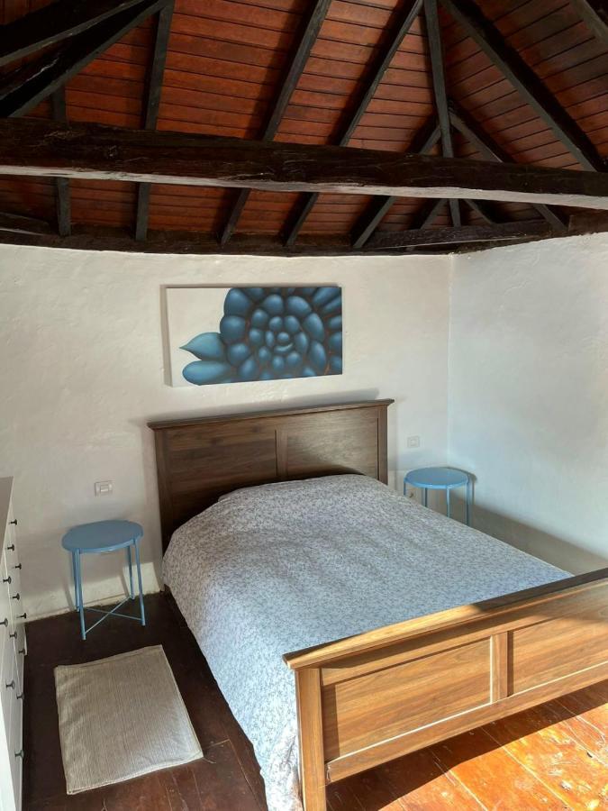 Unique Canarian 1700s - Casa Salvia Las Aguas - Ocean & Natural Pools 150m - Whole Gated House Holiday home *