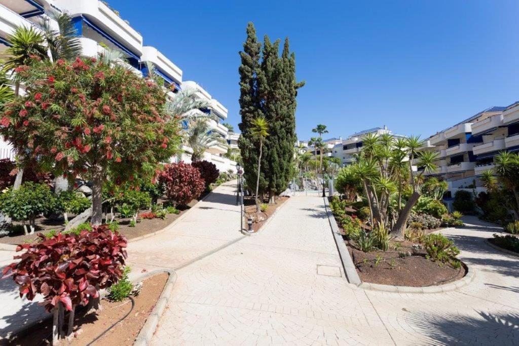 En Cristianos Urb.playa Graciosa