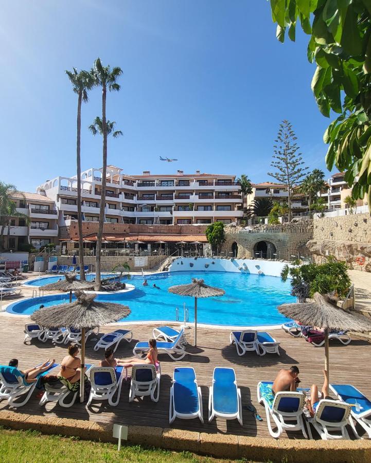 Apartment Atico Albatros Park Piscina Climatizada Tenerife *