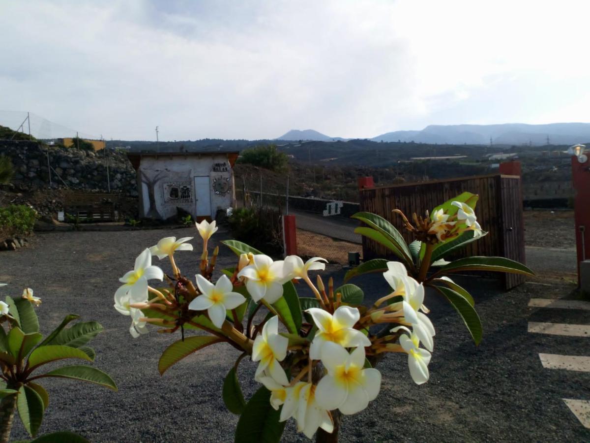 Finca Rural Nueva Vida Casa rural Chío