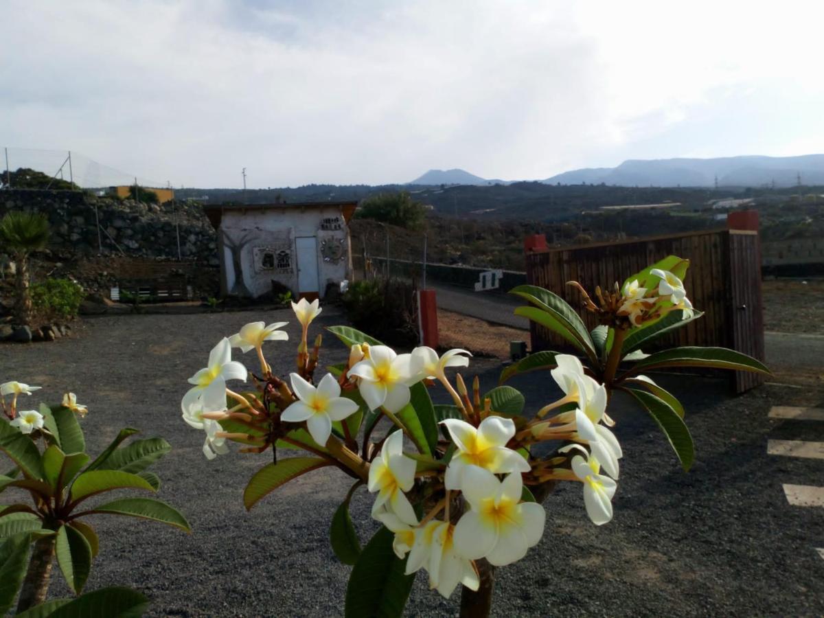 Finca Rural Nueva Vida *