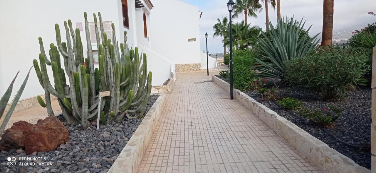 Hc Abroad Costa Adeje (Tenerife)