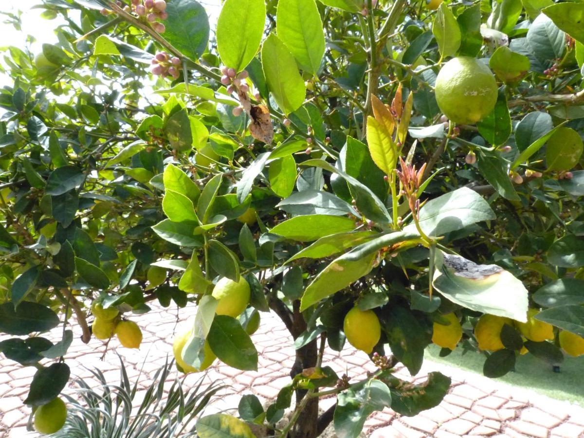 Suncanarias Casa Tajinaste