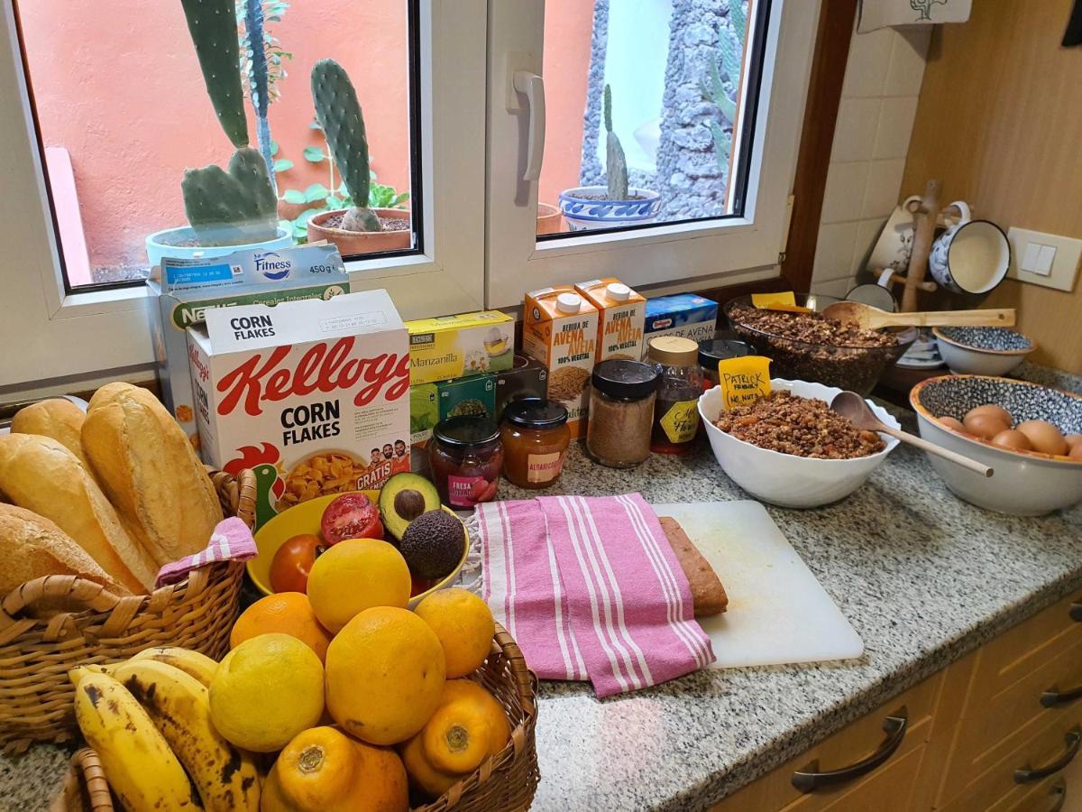 Cactus Coliving & Coworking Couette-café