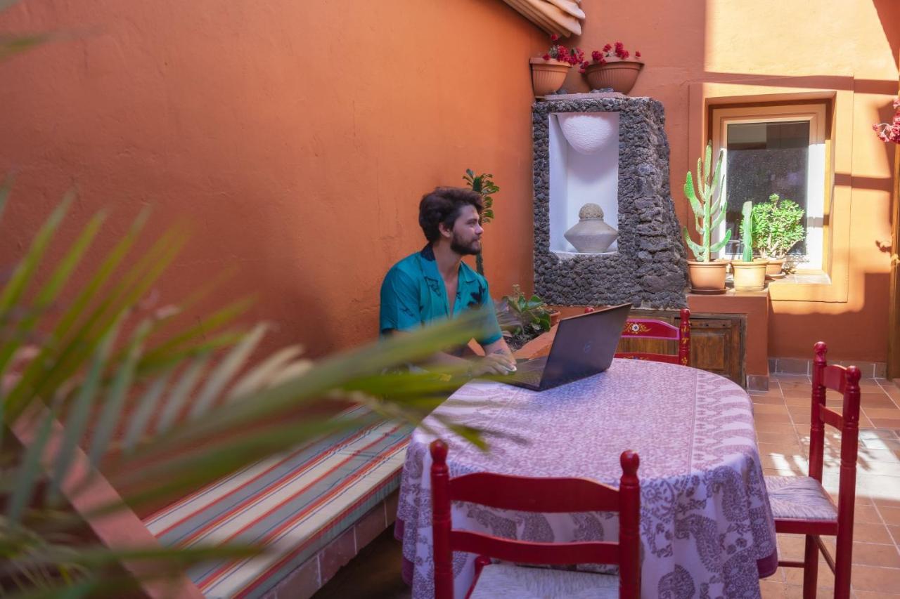 Cactus Coliving & Coworking Couette-café