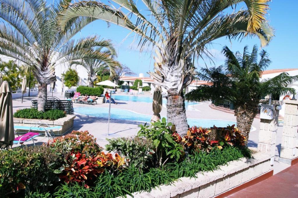 Malibu Park Costa Adeje *