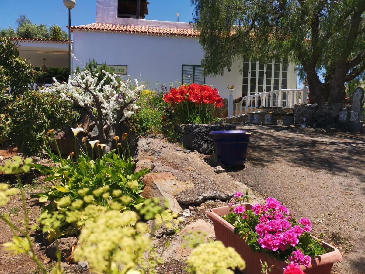 Dolores En Adeje Hébergement de vacances *