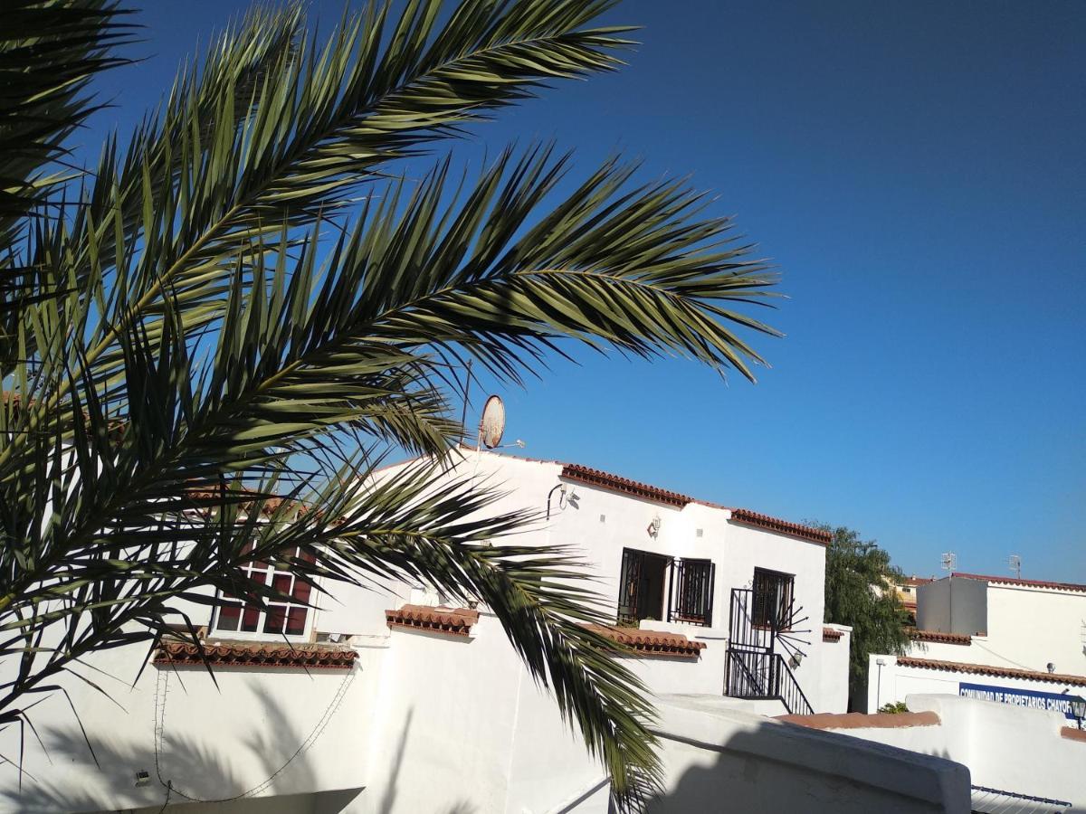 Apartment Ama Tenerife Grande Terraza