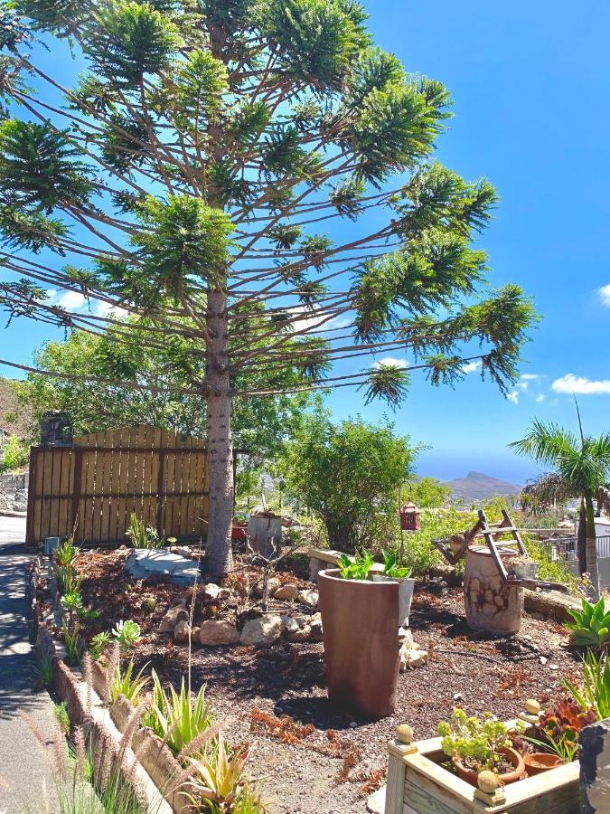 Chimaca * Arona (Tenerife)