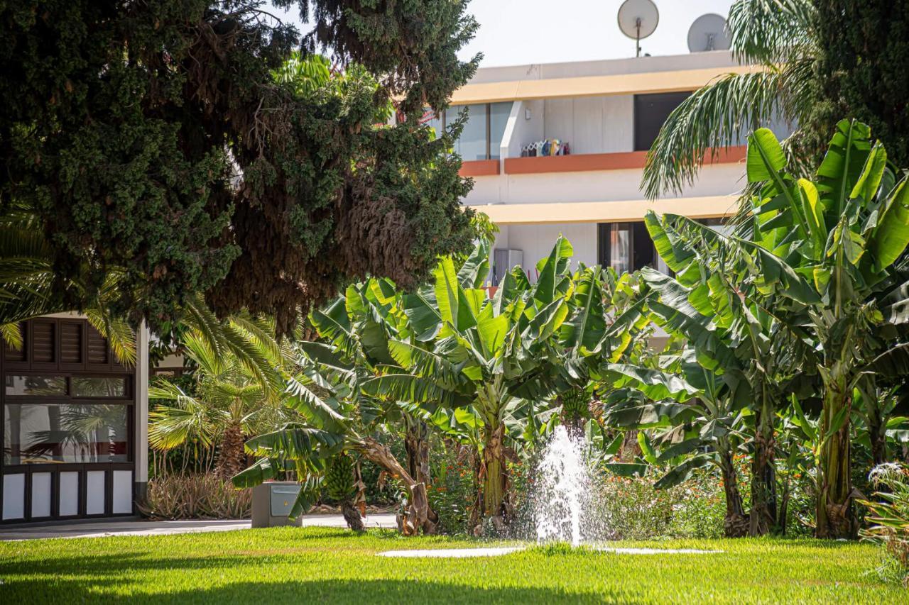 Go2tenerife Apart'costa Terrace, Swimming Pool & Parking Apartamento