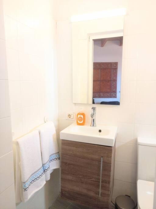 Estudio Don Antonio En El Centro De La Laguna Apartment *