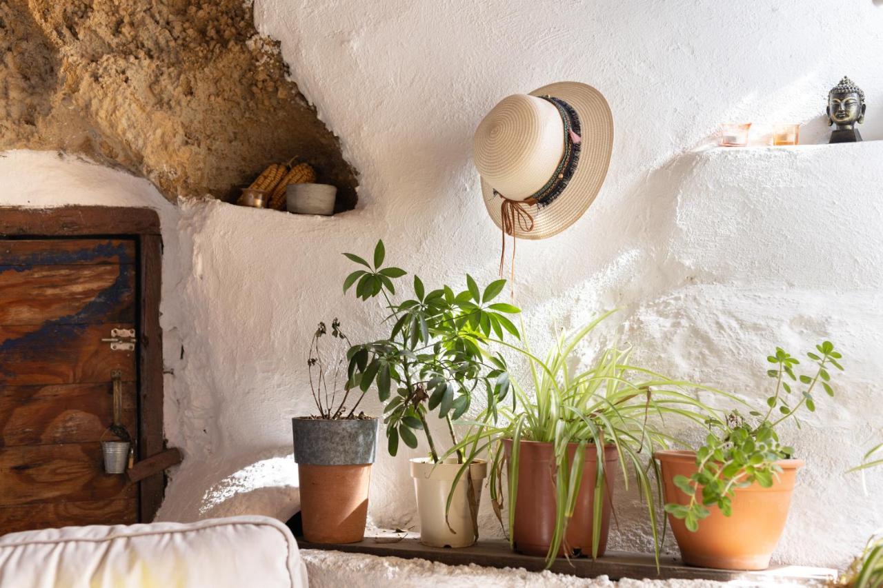 Casa Cueva Gaspara Сasa de vacaciones Arico