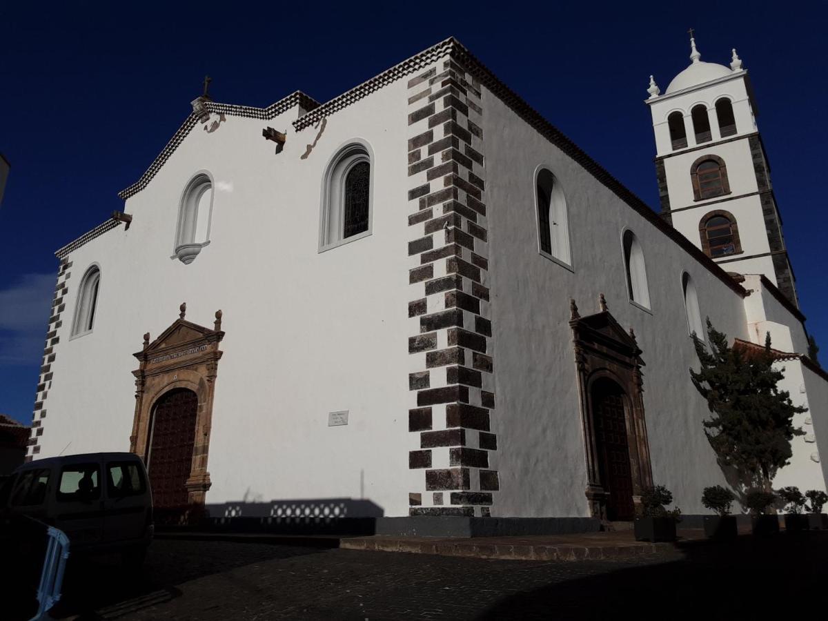 Marjul Ii *