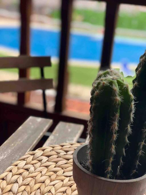 Coqueto En El Palm-mar. Appartement