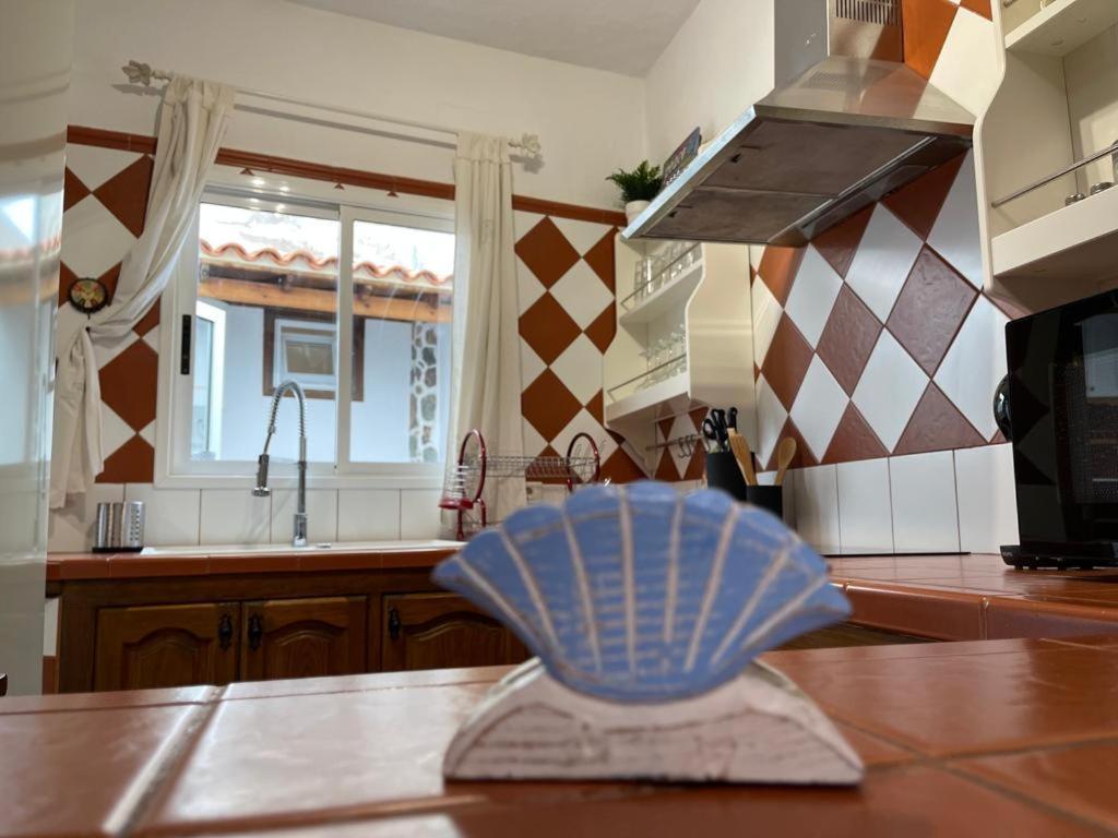Casa Tortuga 1era Linea De Playa Appartement