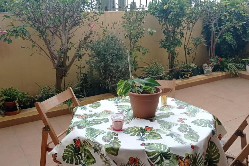 Casa El Sentir Appartement El Sauzal