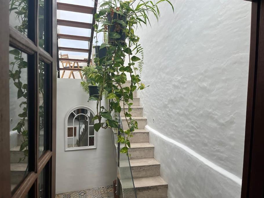 Vistas Impresionantes Al Mar De Garachico Holiday home