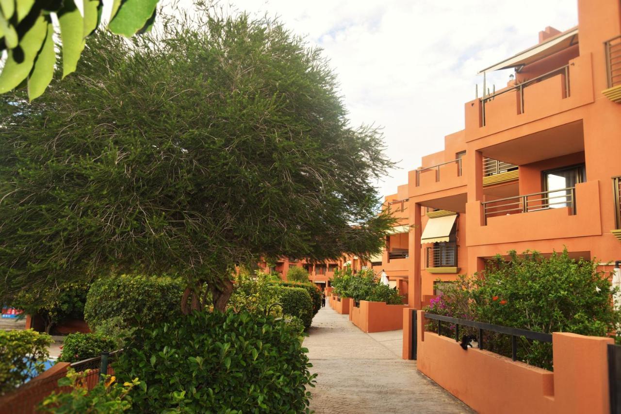 Alquilaencanarias Sotavento A, Terrace&pool