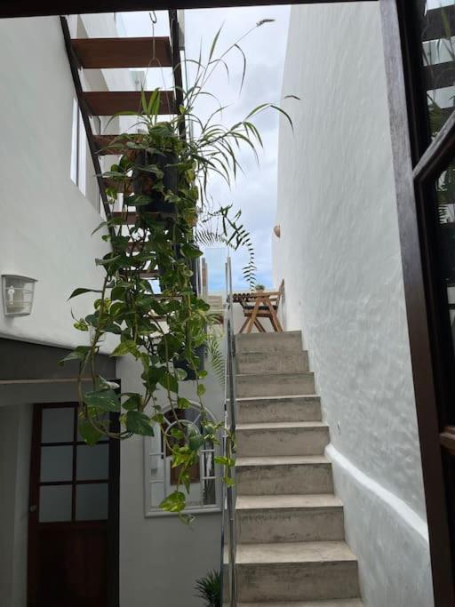 Vistas Impresionantes Al Mar De Garachico Holiday home *
