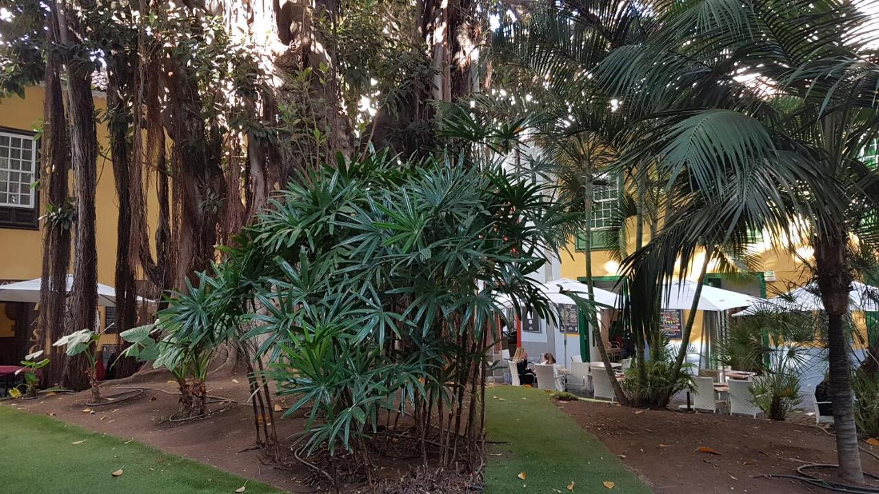 Casa Tortuga