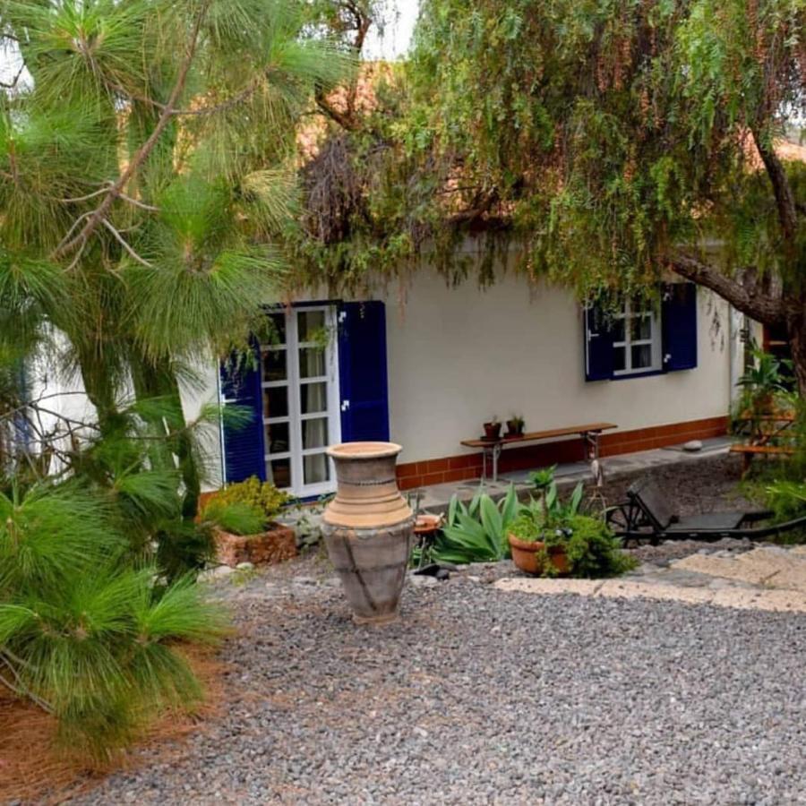 Apartamento Stilvolle In Teneriffa Süd *