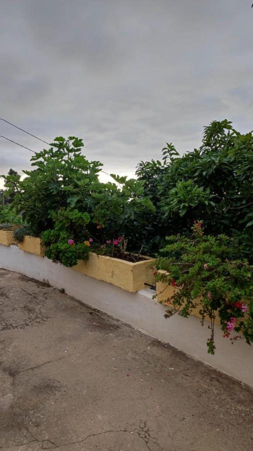 Hébergement de vacances Casa Luisa *