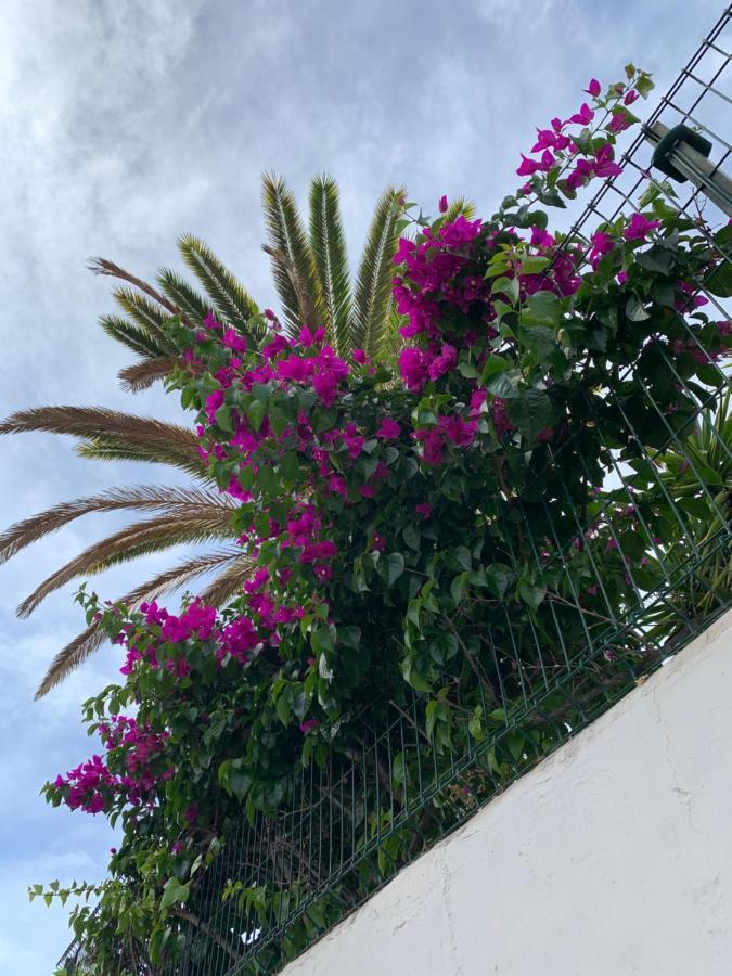 Elena Costa Adeje (Tenerife)