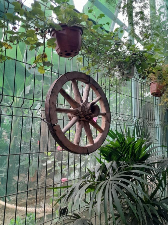 Homestay Tenerife San Miguel de Abona