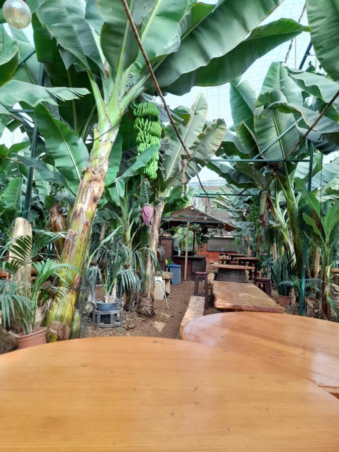 Tenerife Homestay San Miguel de Abona