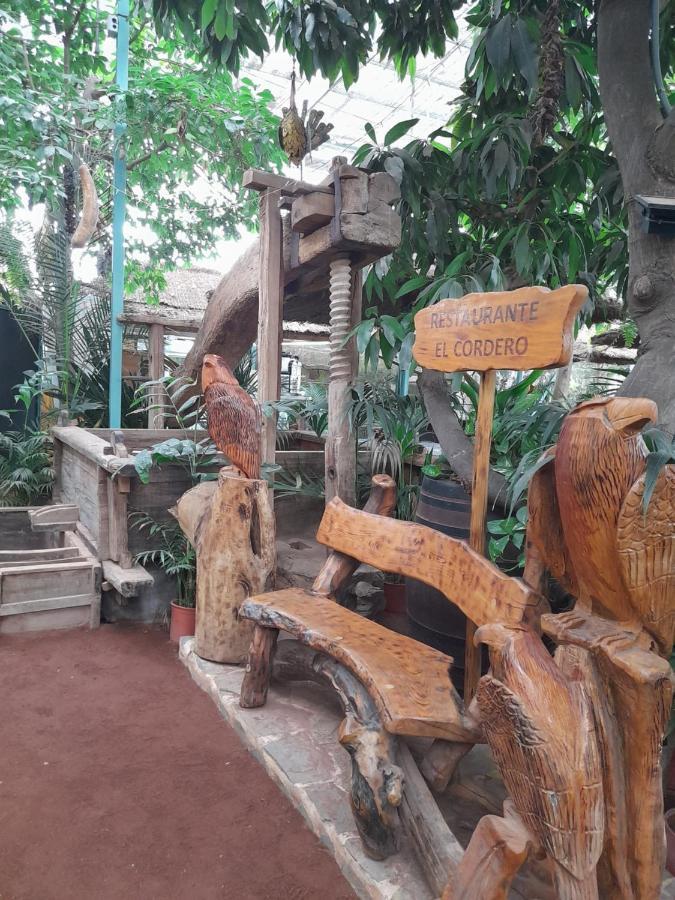 Homestay Tenerife