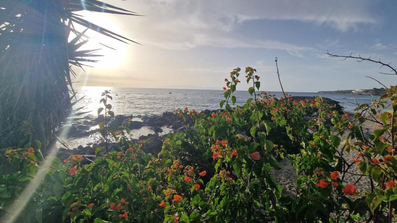 Appart hôtel Ocean View Apartment, Costa Adeje,tenerife Costa Adeje (Tenerife)
