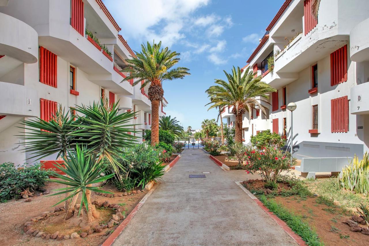 Charming Las Americas, Terrace, Fiber, Pool Apartment *