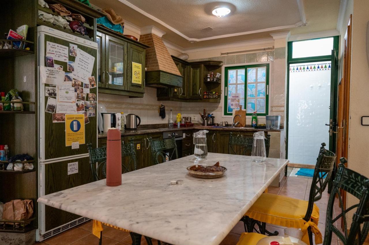 Hostel Arena Nest