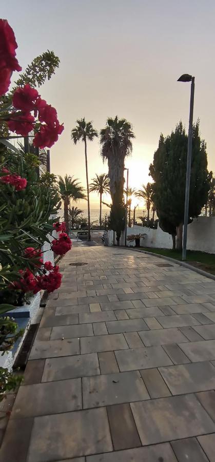 Apartamento Playa Americas