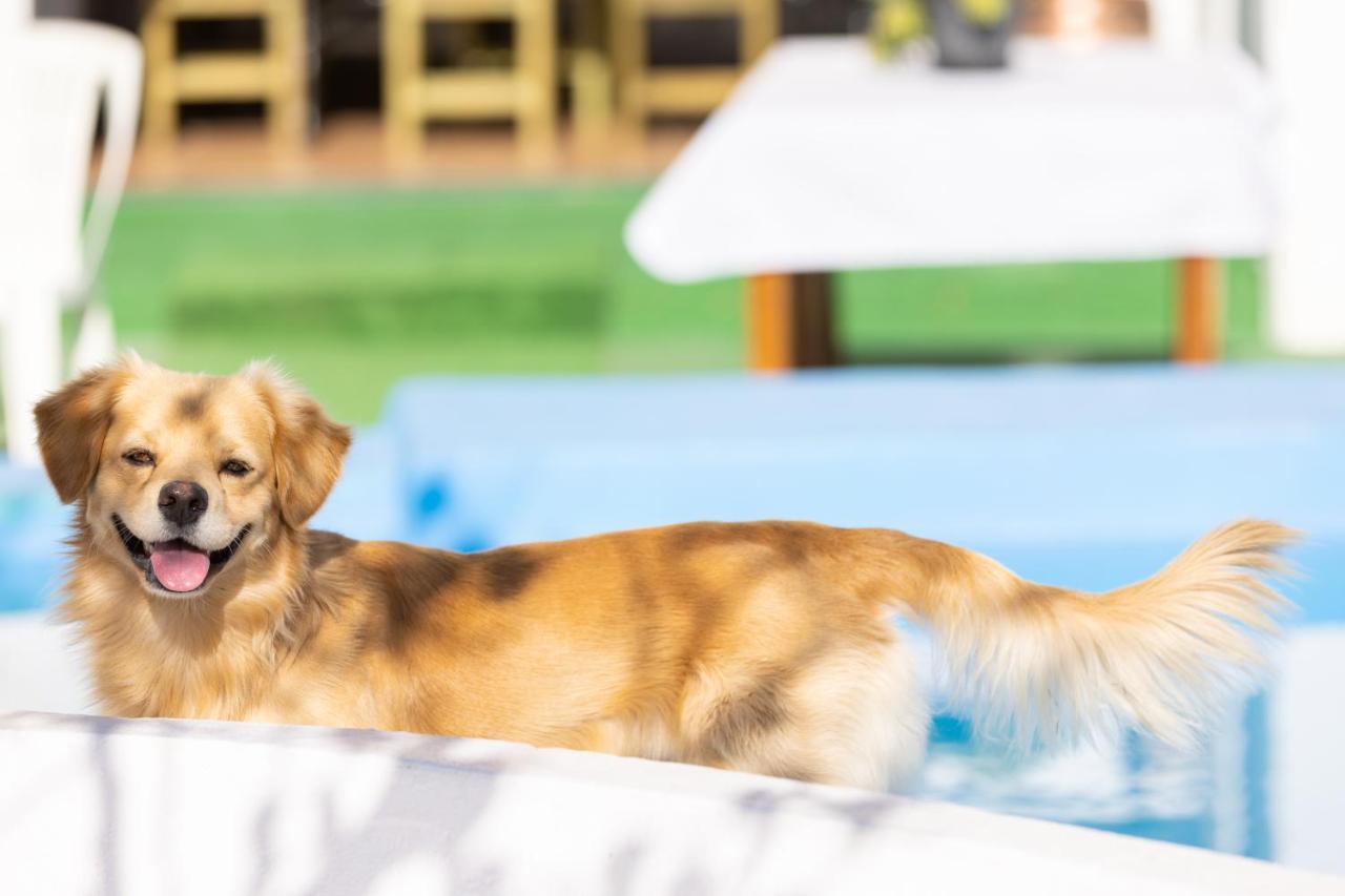 Hébergement de vacances 143 Mountain, Seaviews, And Pool Relax By Sunkeyrents Fasnia
