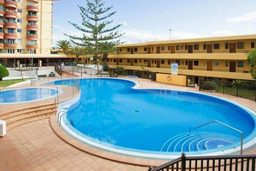 Appartement Studio In Torres Del Sol Griffin Near The Beach
