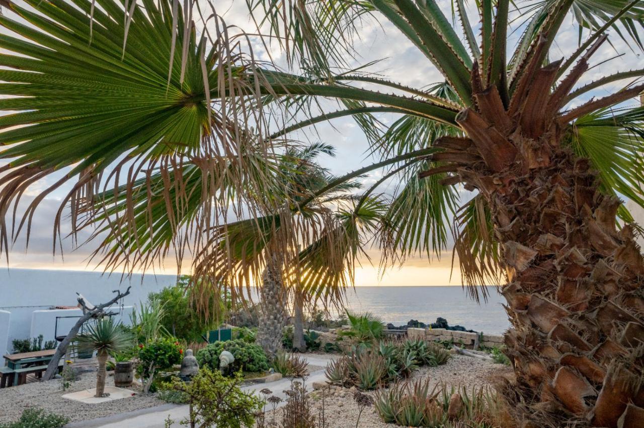 Little Paradise In El Medano 2 Appartement *
