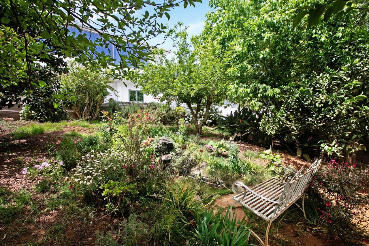 Finca Ecológica Laurisilva Tacoronte