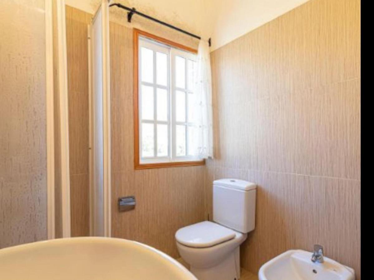 Blanquitos Amazing With 3,000 M2 Of Land Granadilla De Abona