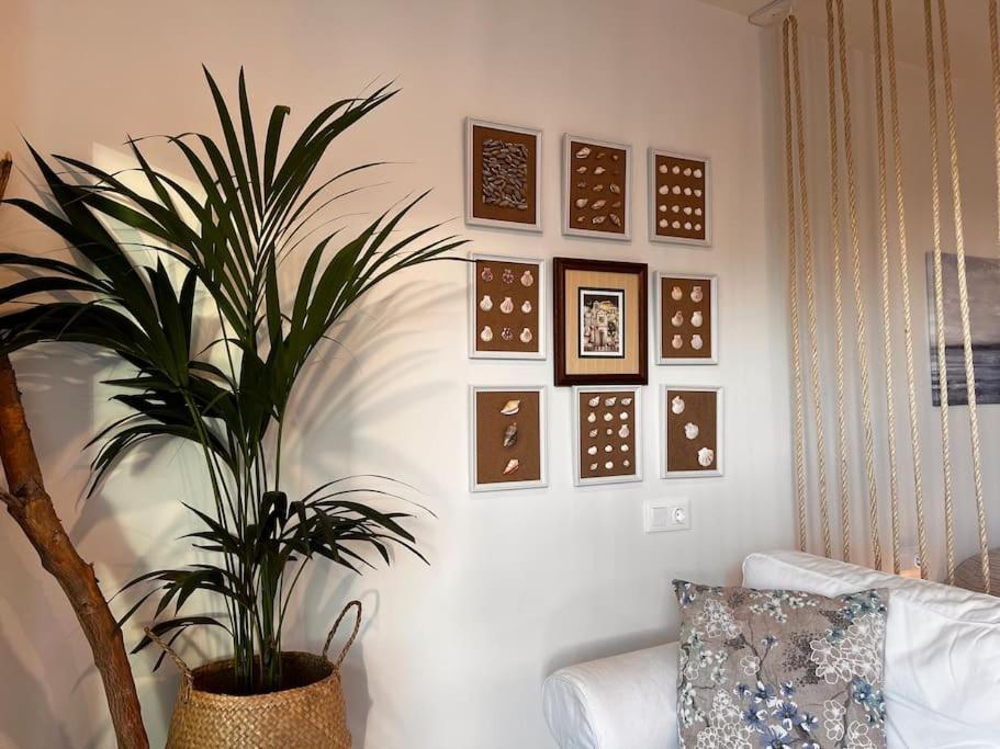 Ocean Dream - Lovely Sea View 5min From Appartement San Marcos (Tenerife)